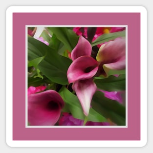 Pink Lillies Sticker